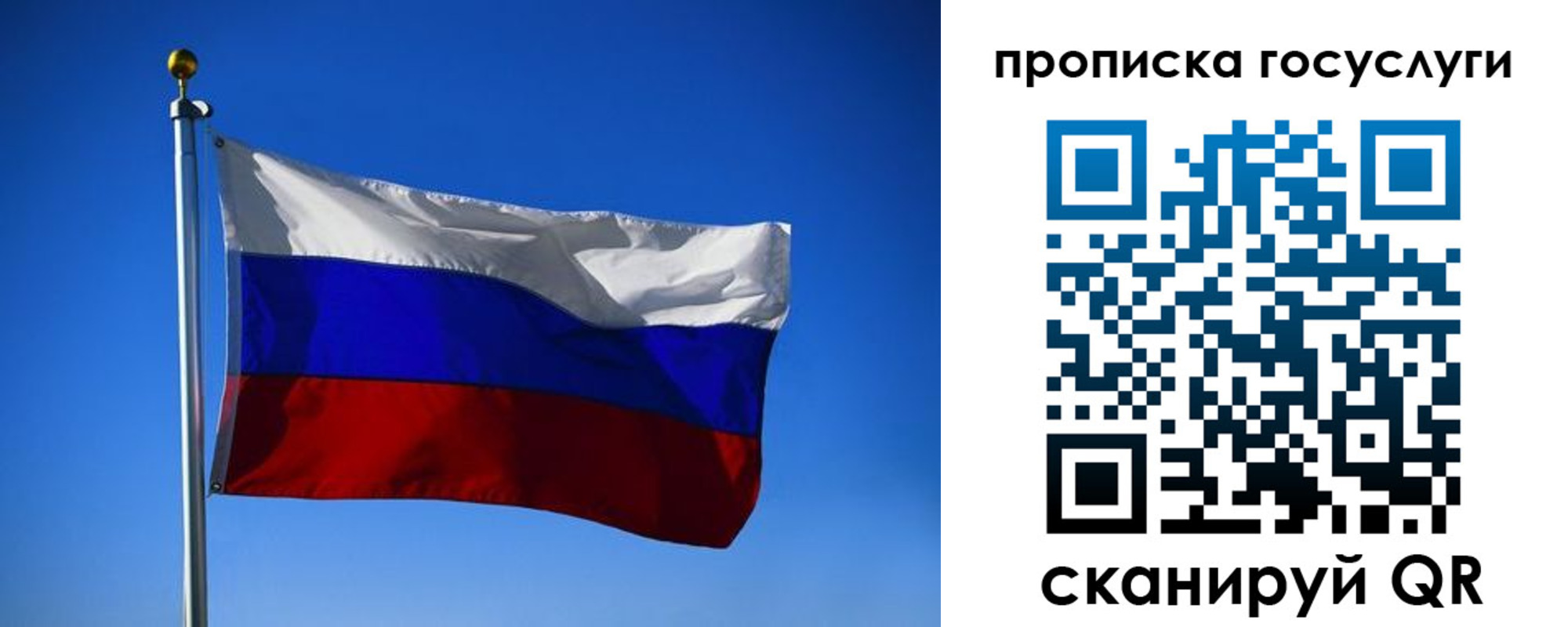 временная регистрация госуслуги в Кингисеппе